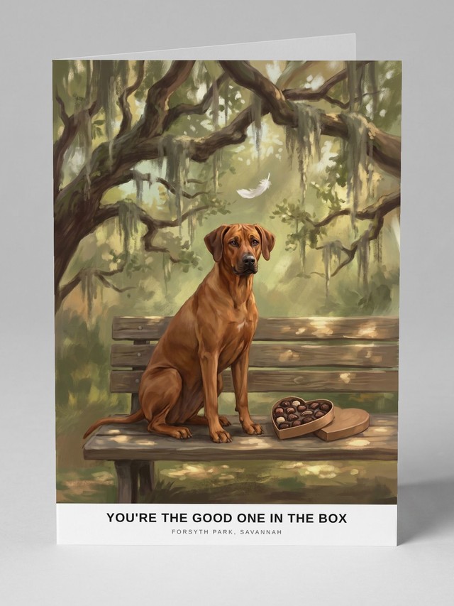 The Bench in Savannah greeting card