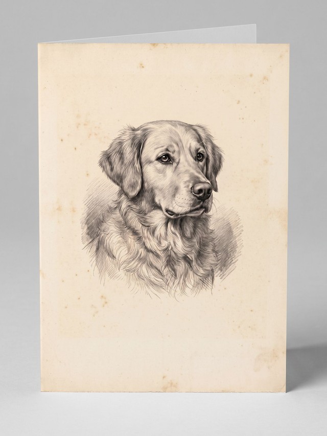 The Sketch greeting card